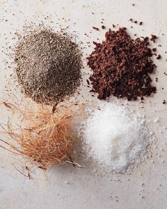 How to Mix the Perfect Soil for Healthy Succulents 🌱