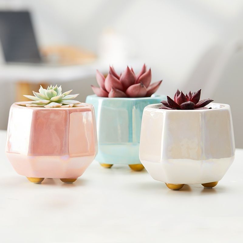 Hologram ceramic pot- Test