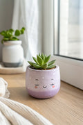 Cute clay pot - Test