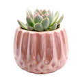 Pink Ceramic Pot- Test